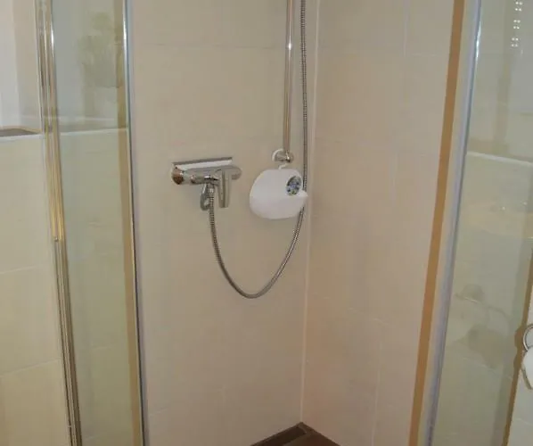 招待所 Altstadtpension 3*